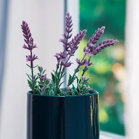 Sol-1 In Old Part Of Centar * Split